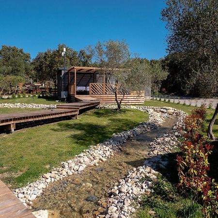 Camping Les Pres Du Roi 桑米亥斯 外观 照片